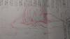 IMAG0439.jpg